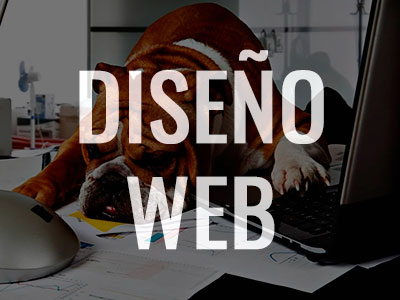 Diseño Web