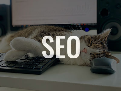 SEO Posicionamiento en buscadores